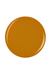 Mustard creme round shape  swatch color pantone in white color setting